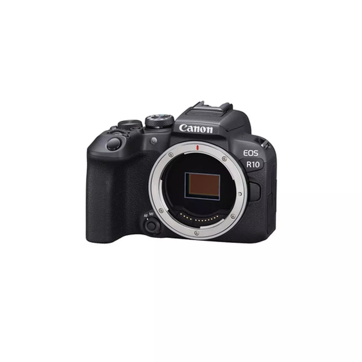 Canon EOS R10 Cuerpo